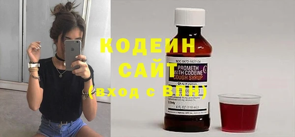 дживик Заводоуковск