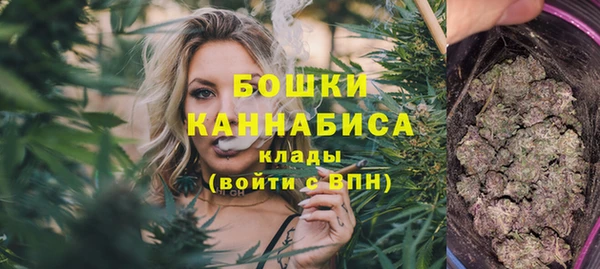 дживик Заводоуковск