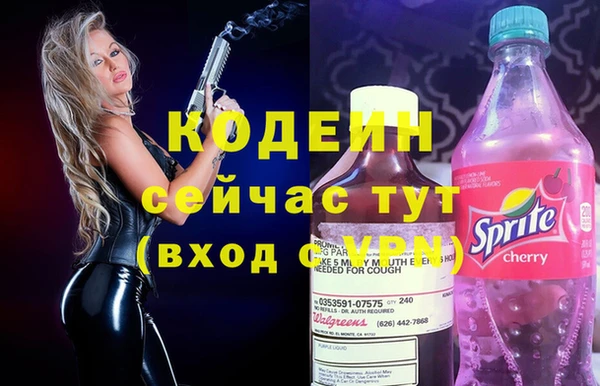 дживик Заводоуковск