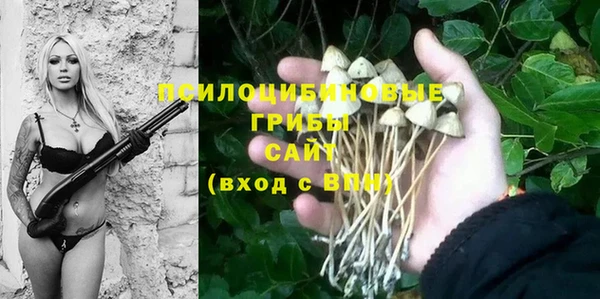 дживик Заводоуковск