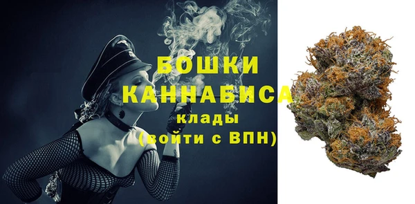 дживик Заводоуковск
