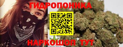 ECSTASY Краснодар