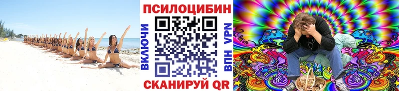 Псилоцибиновые грибы мицелий  Купить где  Канаш 