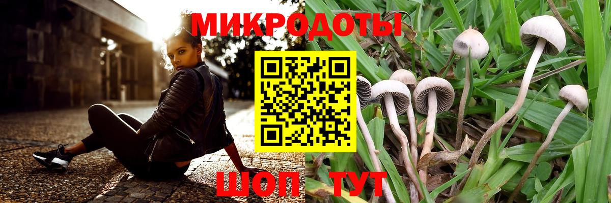 Псилоцибиновые грибы MAGIC MUSHROOMS Канаш