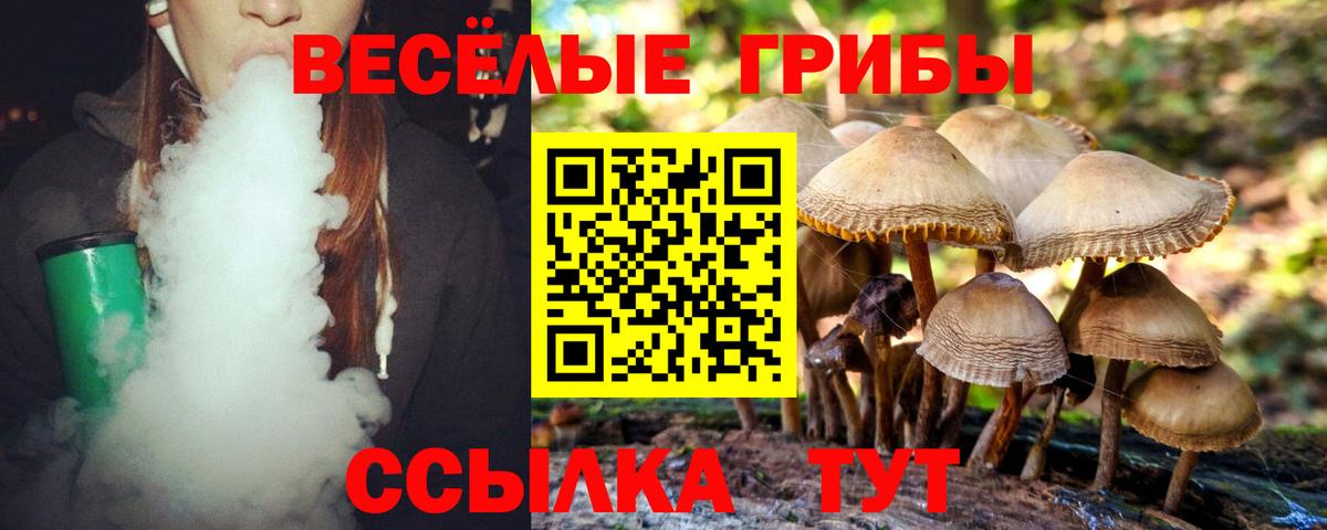 Галлюциногенные грибы Psilocybine cubensis  Канаш 