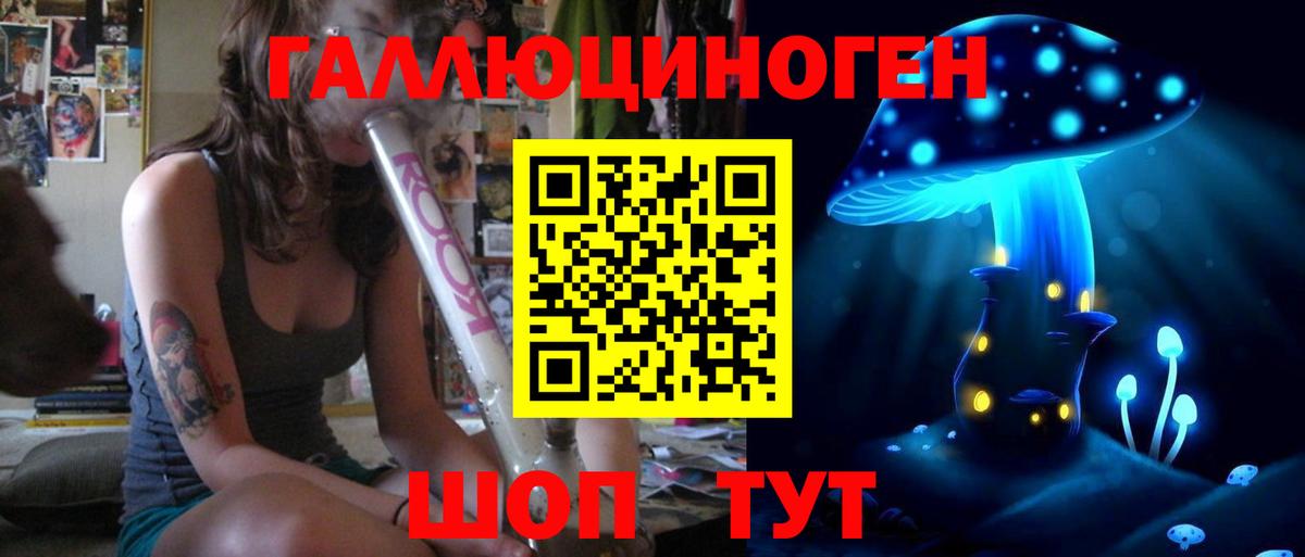 Канаш  Галлюциногенные грибы Psilocybe  Вход с VPN 